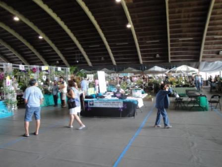 Hilo Orchid Show